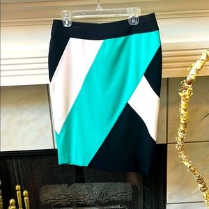 Stylish Black and Teal Women's Skirt